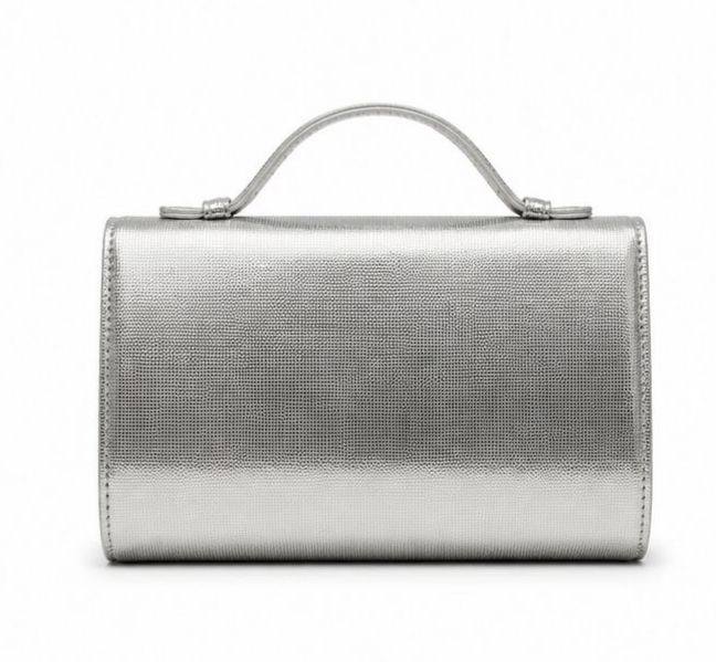 Silver Lustre Bag